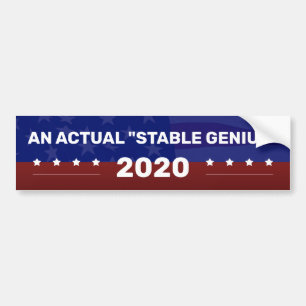Autocollant De Voiture Une campagne politique RÉELLE "de GÉNIE STABLE"