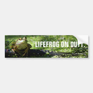 Autocollant De Voiture Une jolie grenouille verte frappe un pot sur le tu