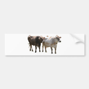Autocollant De Voiture Vaches à Suisse Brown