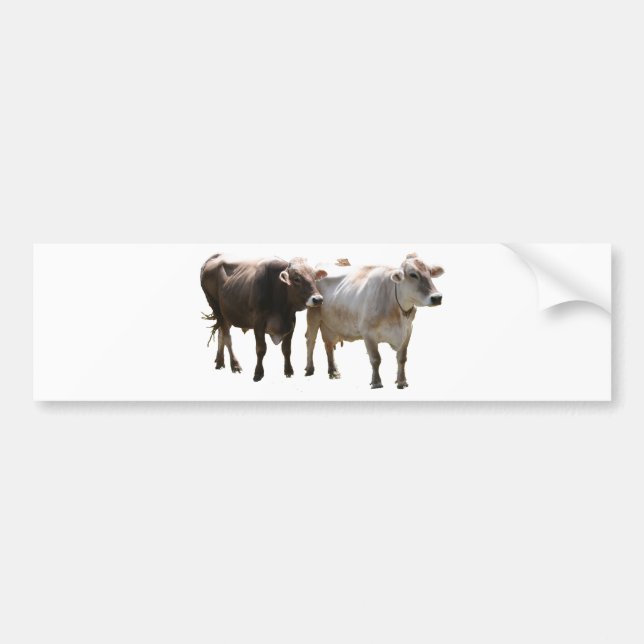 Autocollant De Voiture Vaches à Suisse Brown (Devant)