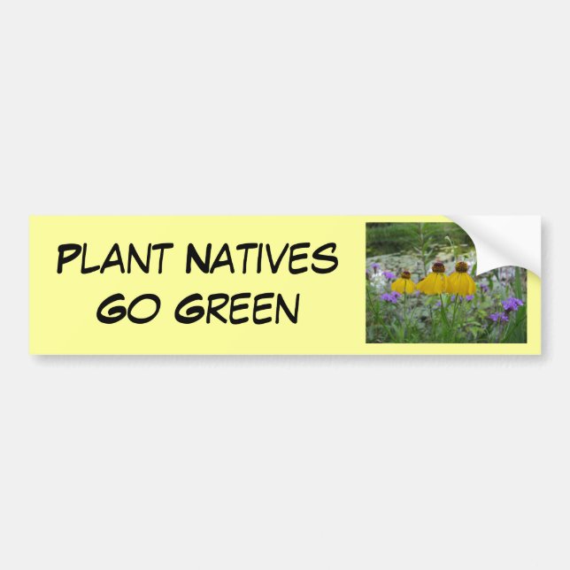 Autocollant De Voiture Verveine de devenez écolo d'indigènes de plante (Devant)