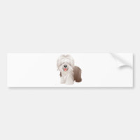 Vieux chien de berger anglais