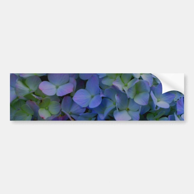 Autocollant De Voiture Violet violet rose bleu hydrangée fleurie (Devant)