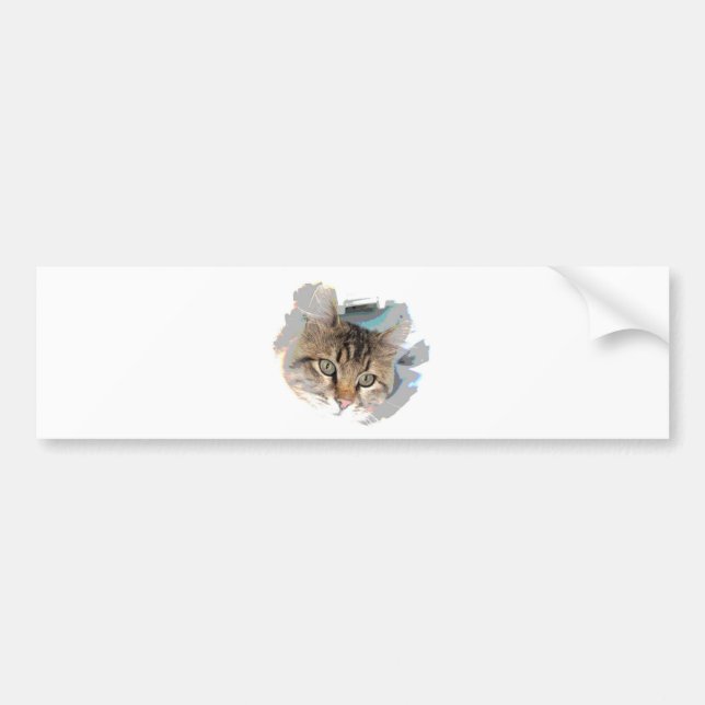 Autocollant De Voiture Visage de chat - Yeux de chat (Devant)