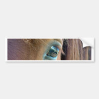 Vision de cheval
