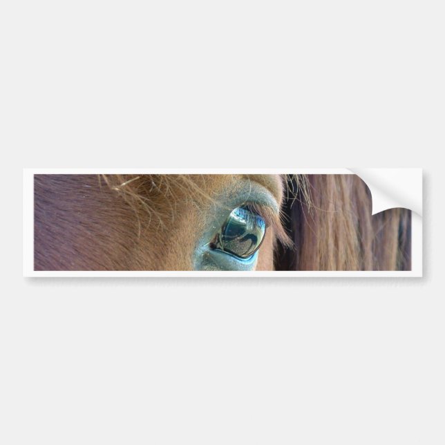 Autocollant De Voiture Vision de cheval (Devant)