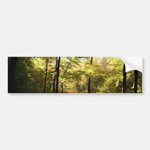 Autocollant De Voiture Vitrage de forêt