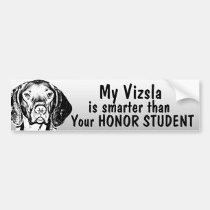 Autocollant De Voiture Vizsla est plus futé que l'étudiant d'honneur -
