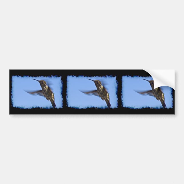 Autocollant De Voiture Vol du colibri (Devant)