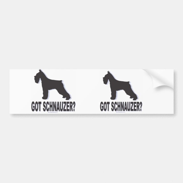Autocollant De Voiture Vous avez Schnauzer ? (Devant)