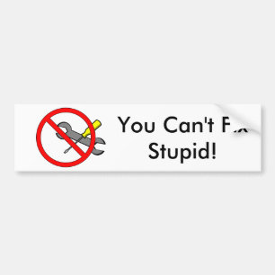 Autocollant De Voiture "Vous ne pouvez pas fixer stupide !" Adhésif pour