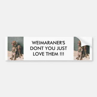 AUTOCOLLANT DE VOITURE WEIMARANER VOUS NE LES AIMEZ PAS JUSTE