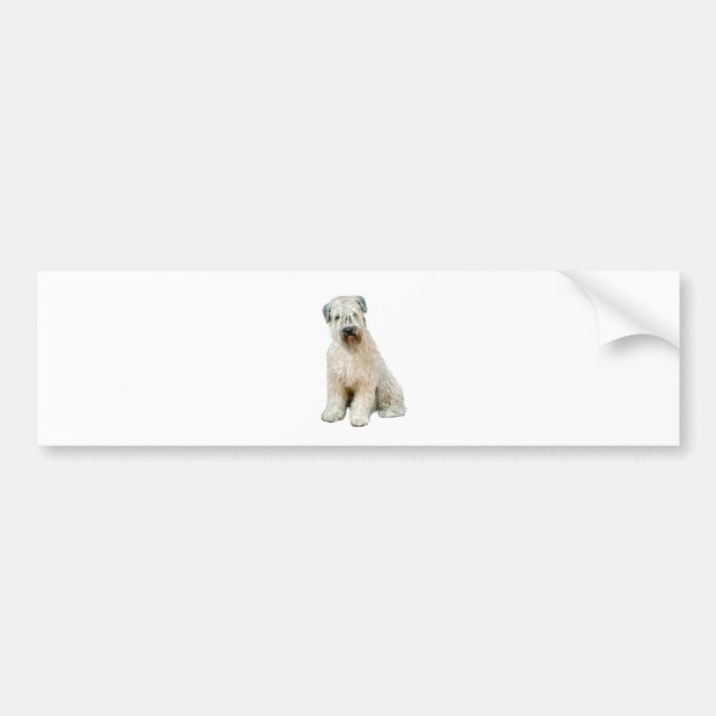 Autocollant De Voiture Wheaten Terrier (C) (Devant)