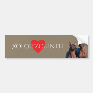 Autocollant De Voiture Xoloitzcuintli