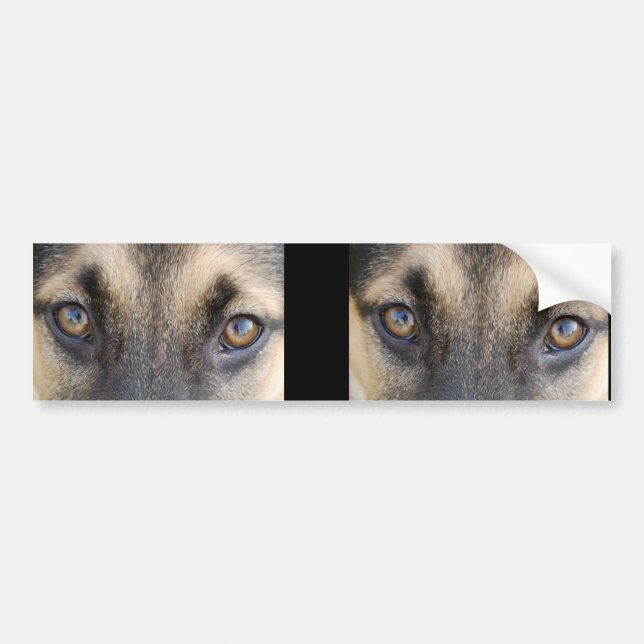 Autocollant De Voiture Yeux bergers allemands (Devant)
