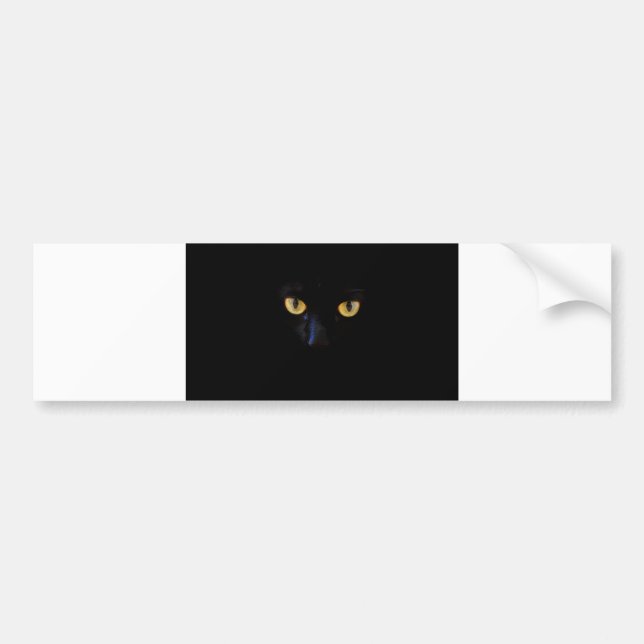 Autocollant De Voiture yeux de chats (Devant)
