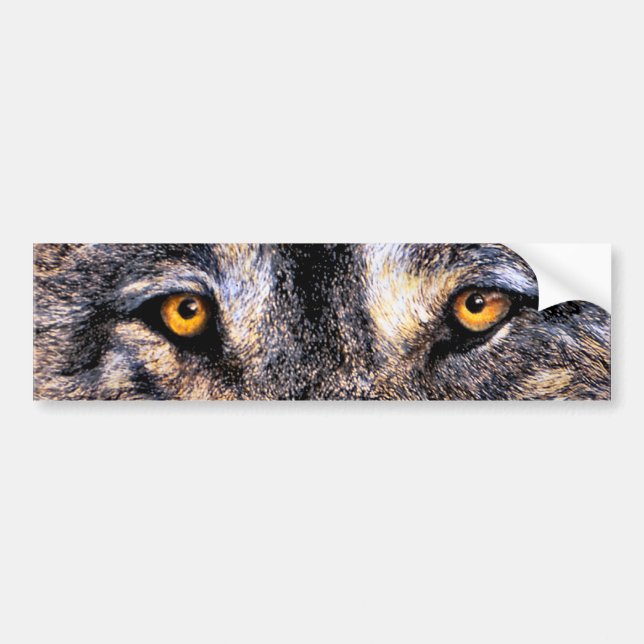 Autocollant De Voiture Yeux de loup (Devant)