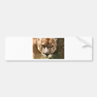 Autocollant De Voiture yeux de puma