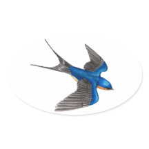 Autocollant d'hirondelle de grange volant