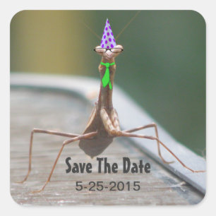 Autocollant d'insecte de partie