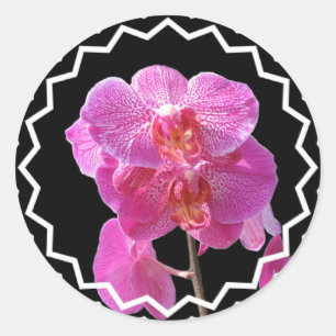 Autocollant d'orchidées roses florantes