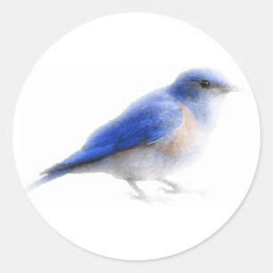 Autocollant d'origine de l'oiseau bleu aquarelle