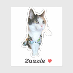 Autocollant drôle de chat élégant