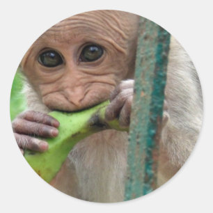 Autocollant drôle d'image de singe