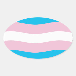 Autocollant du drapeau de la fierté transgenre