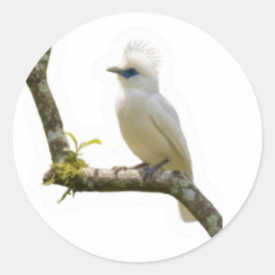 Autocollant du patrimoine culturel de l'oiseau exo