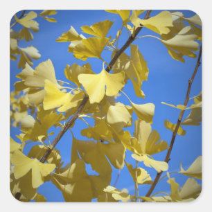 Autocollant Feuilles d'Automne