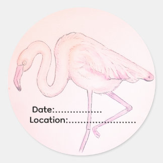 Autocollant flamant rose pour les ornithologues