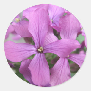 Autocollant Fleur sauvage violet