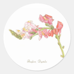 Autocollant Foxglove