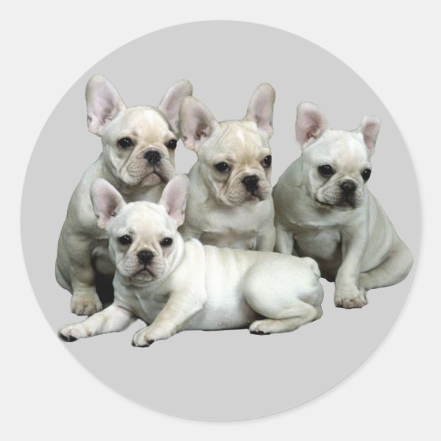 Autocollant français Bulldog (Devant)