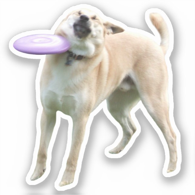 Autocollant Frisbee Chien Meme (Recto)