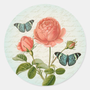 Autocollant girly de rose de cru avec des