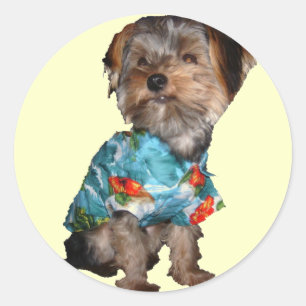 Autocollant hawaïen de Yorkie