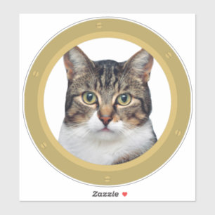 Autocollant hublot pour chat de péniche sur canal