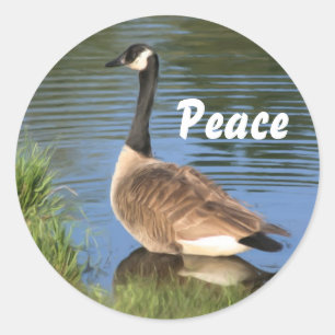 Autocollant Inspirationnel Canada Goose Peace