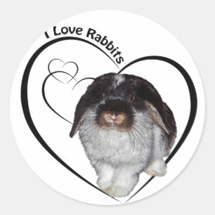 Autocollant J'adore les lapins