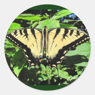 Autocollant jaune de ~ de papillon