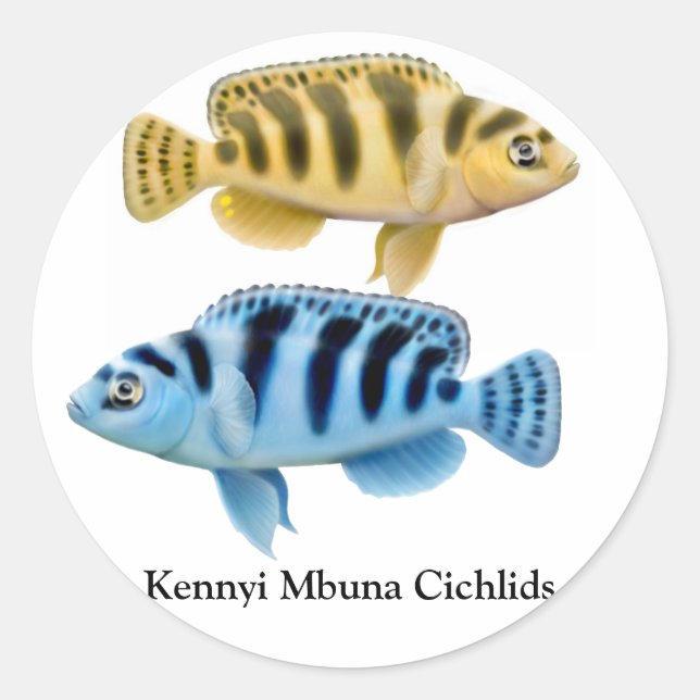 Autocollant Kennyi African Rift Lake Cichlids (Devant)