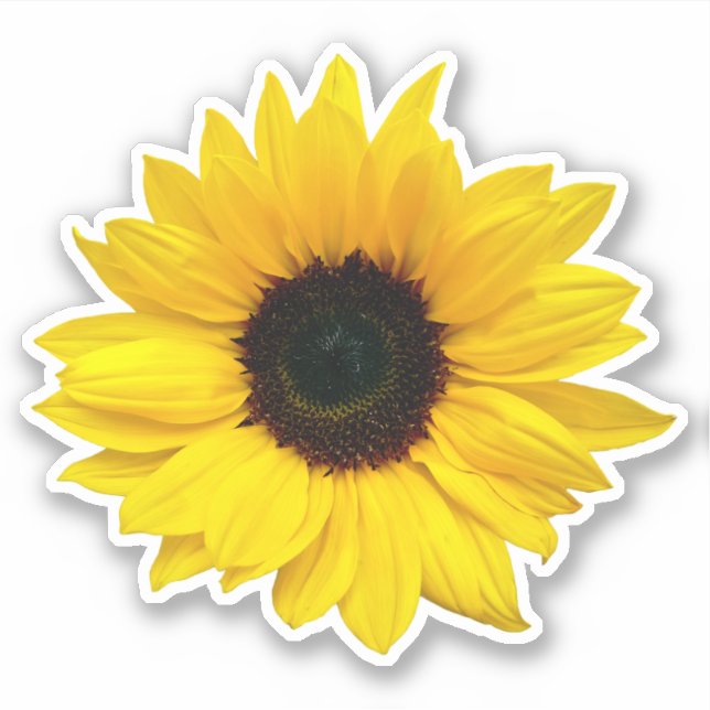 Autocollant Kiss-Cut Fleur de Tournesol Jaune (Devant)