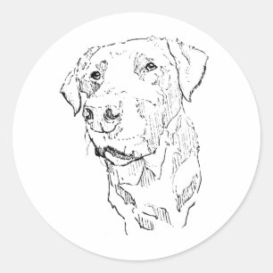 Autocollant Labrador Retriever