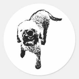 Autocollant Lagotto Romagnolo – Chien à l'encre de