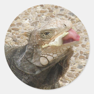 Autocollant Lizard Tongue