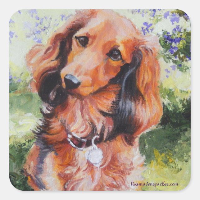 Autocollant long Haired Dachshund (Devant)
