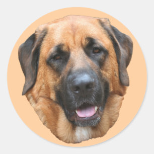 Autocollant Mastiff Mix Dog Face