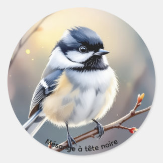 Autocollant Mésange à Tête Noire – Étang Burbank,  Runder Aufkleber